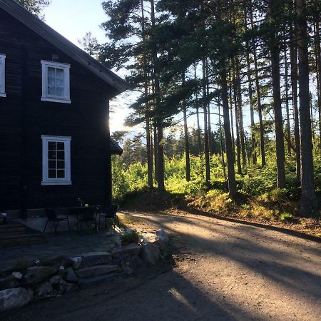 Breiva Gjestegaard Og Glamping 伯 外观 照片