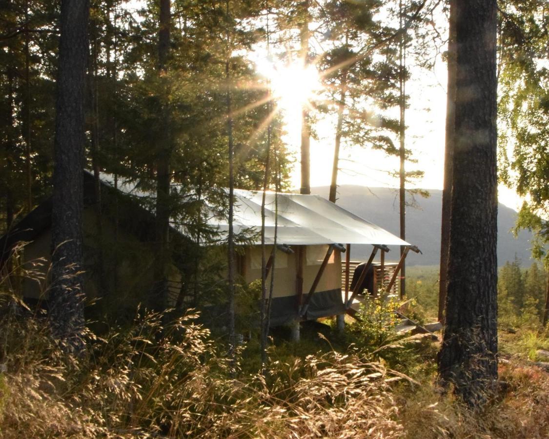 Breiva Gjestegaard Og Glamping 伯 外观 照片