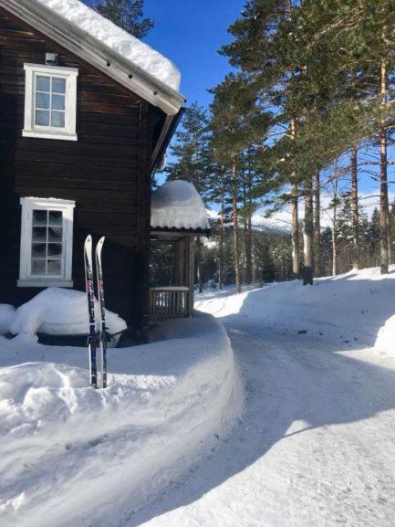 Breiva Gjestegaard Og Glamping 伯 外观 照片