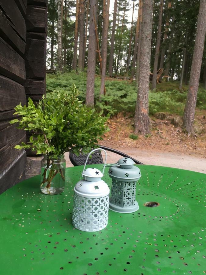 Breiva Gjestegaard Og Glamping 伯 外观 照片